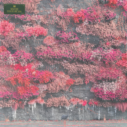 Even In Arcadia - Image 1