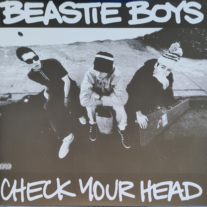 Check Your Head - Image 1