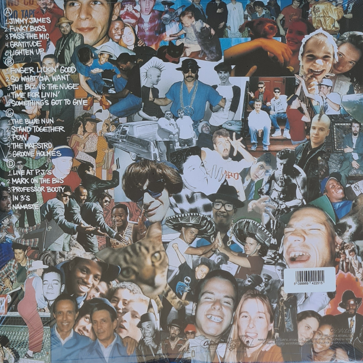 Check Your Head - Image 2