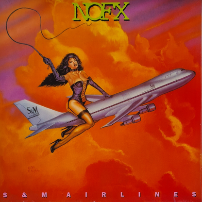 S & M Airlines - Image 1