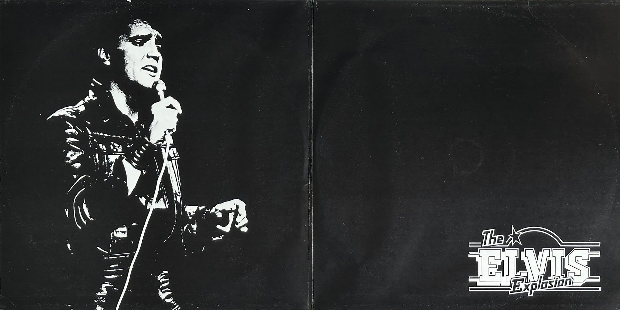 The Elvis Explosion - Image 3