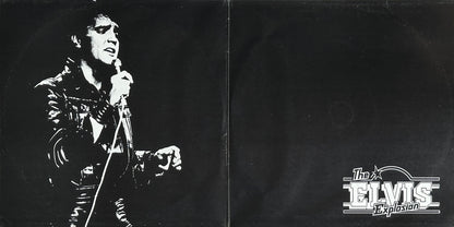 The Elvis Explosion - Image 3