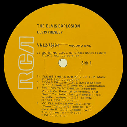 The Elvis Explosion - Image 4