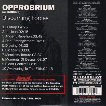 Discerning Forces - Image 2