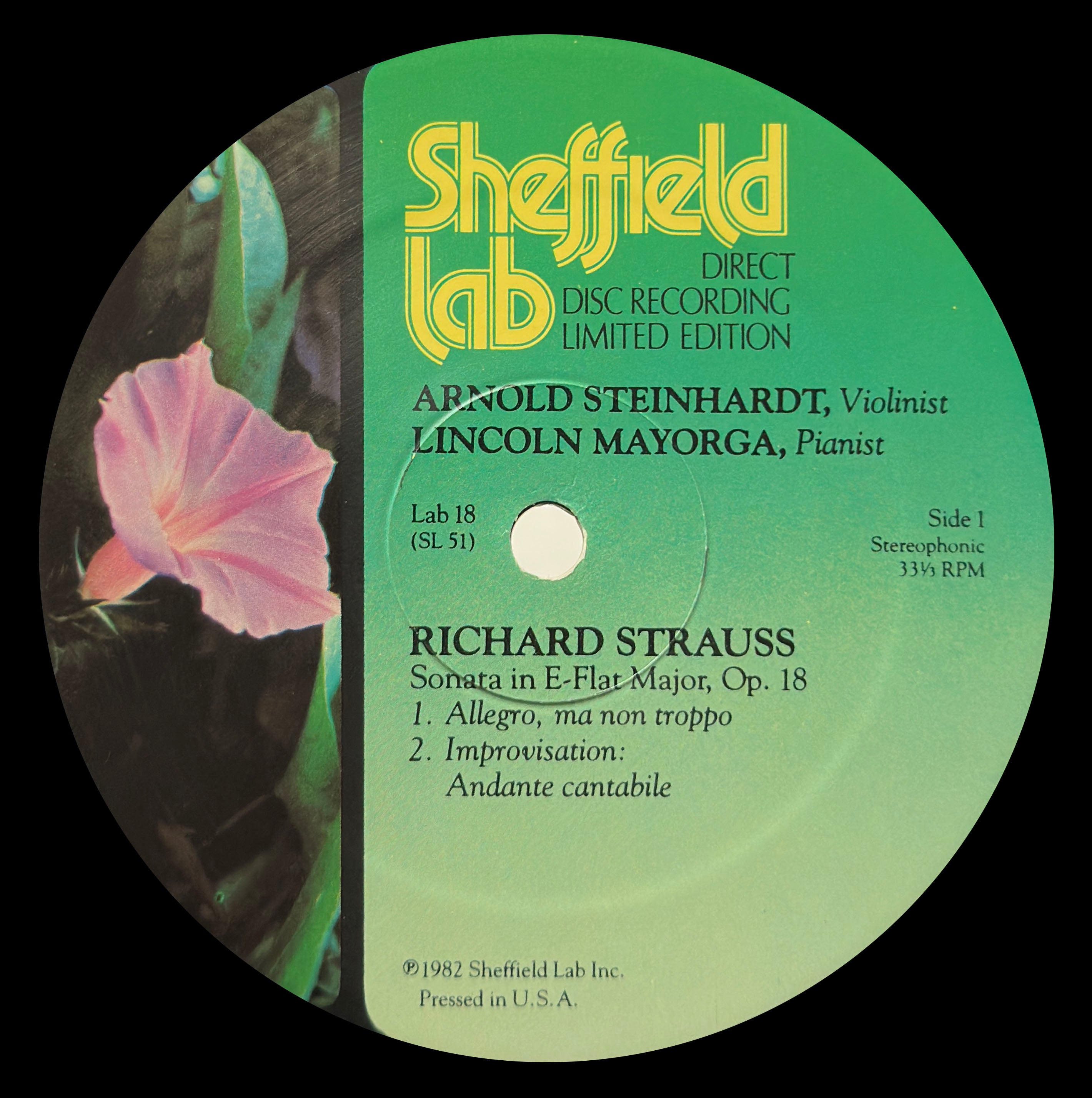 Romantic Music For Violin And Piano - Strauss And Dvorak - Image 3