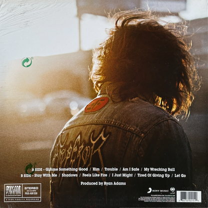 Ryan Adams - Image 2
