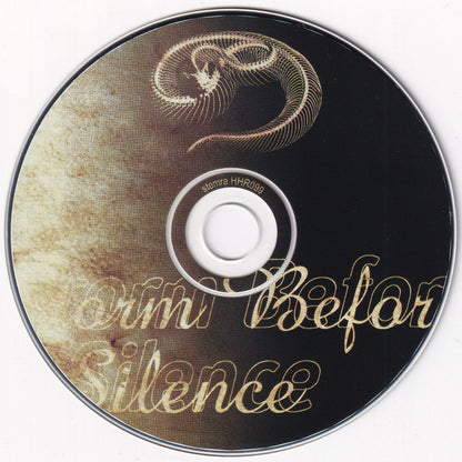 Storm Before The Silence - Image 3