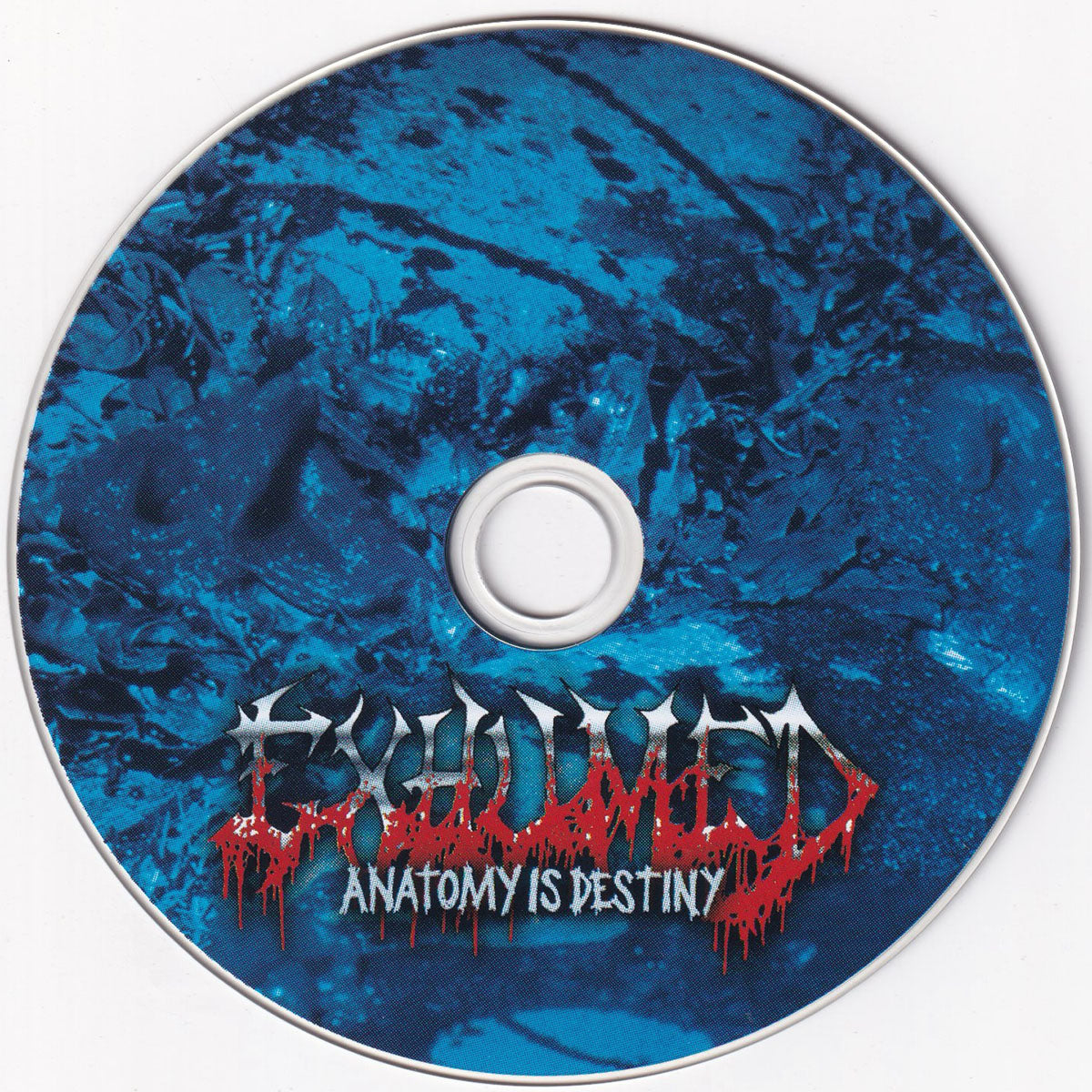 Anatomy Is Destiny - Image 3