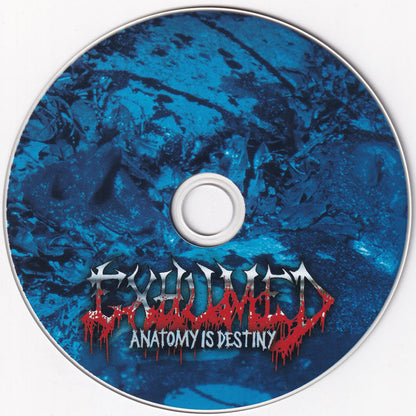 Anatomy Is Destiny - Image 3