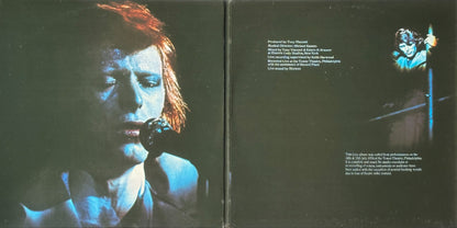 David Live - Image 3