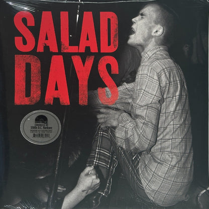 Salad Days: A Decade Of Punk In Washington, DC Soundtrack - Image 1