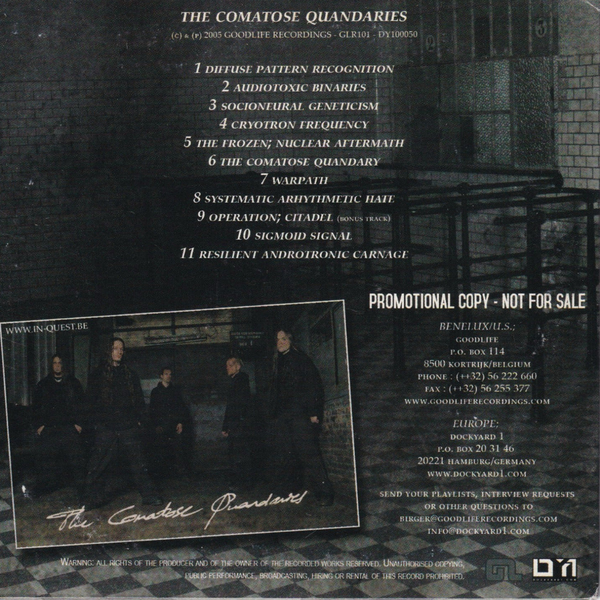 The Comatose Quandaries - Image 2