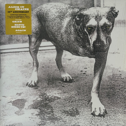 Alice In Chains - Image 1
