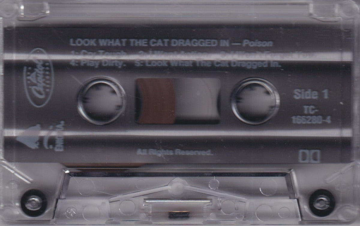 Look What The Cat Dragged In - Image 3