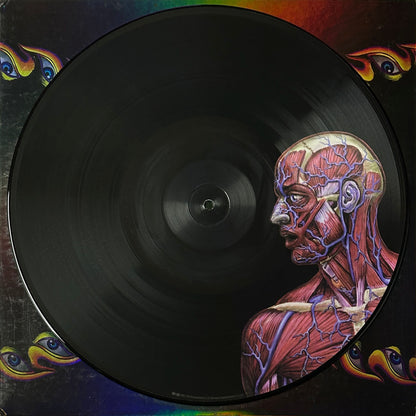 Lateralus - Image 4