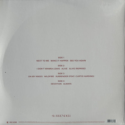 Surrender - Image 2