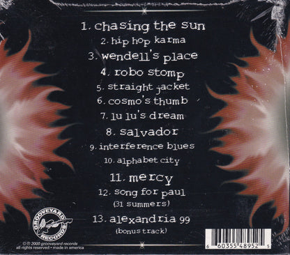 Chasing The Sun - Image 2