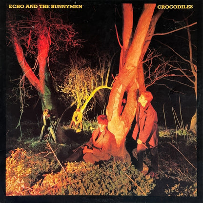 Crocodiles - Image 1