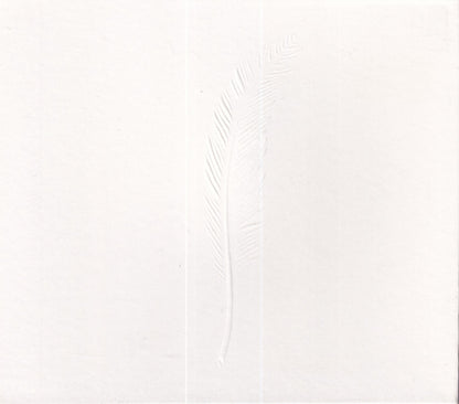 Feel - Image 1