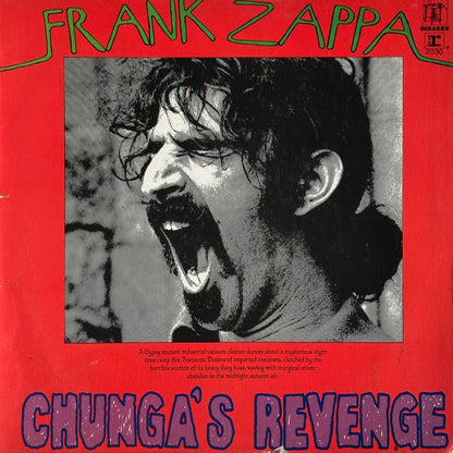Chunga's Revenge - Image 1
