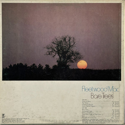 Bare Trees - Image 2