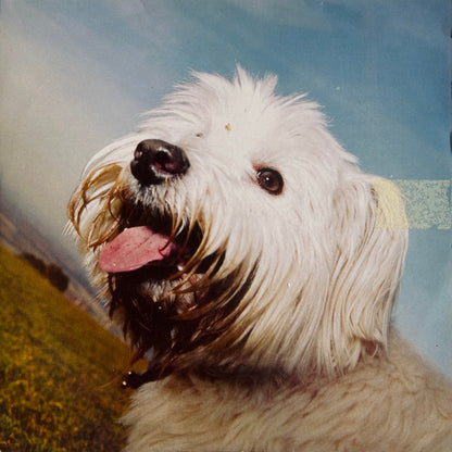 Sing It Back (Mixes. 3) - Image 1