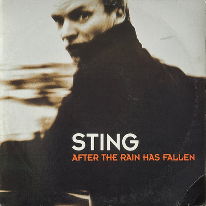 After The Rain Has Fallen - Image 1