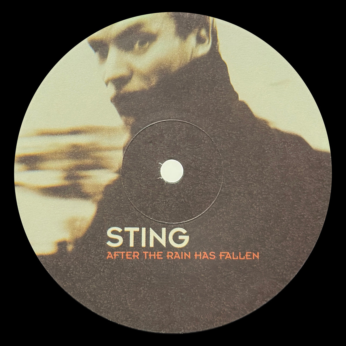 After The Rain Has Fallen - Image 3