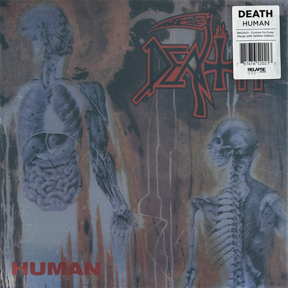 Human - Image 1