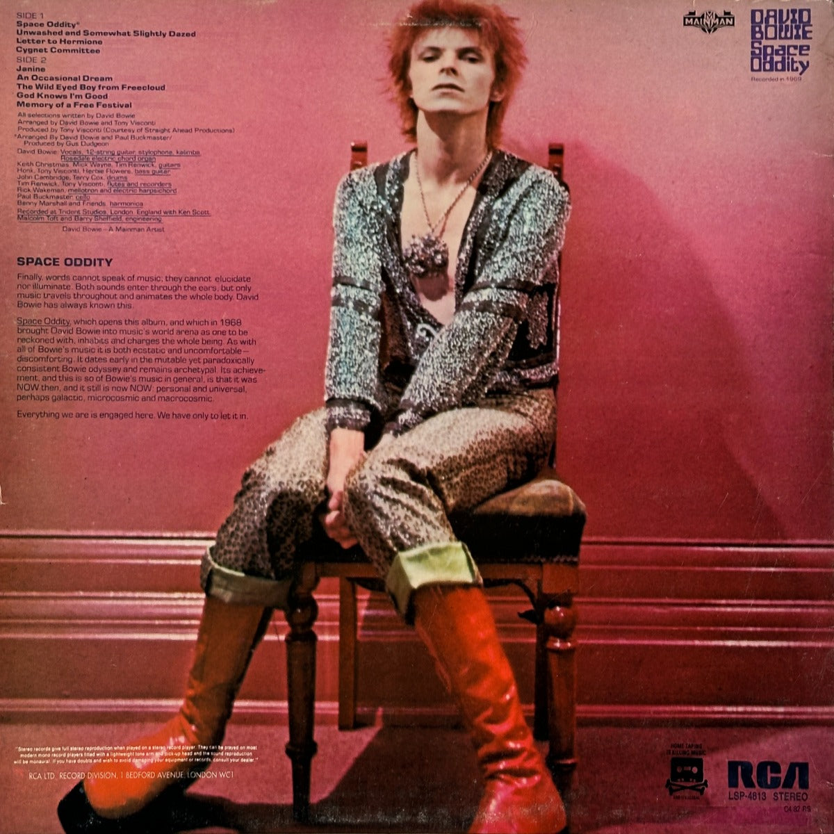 Space Oddity - Image 2