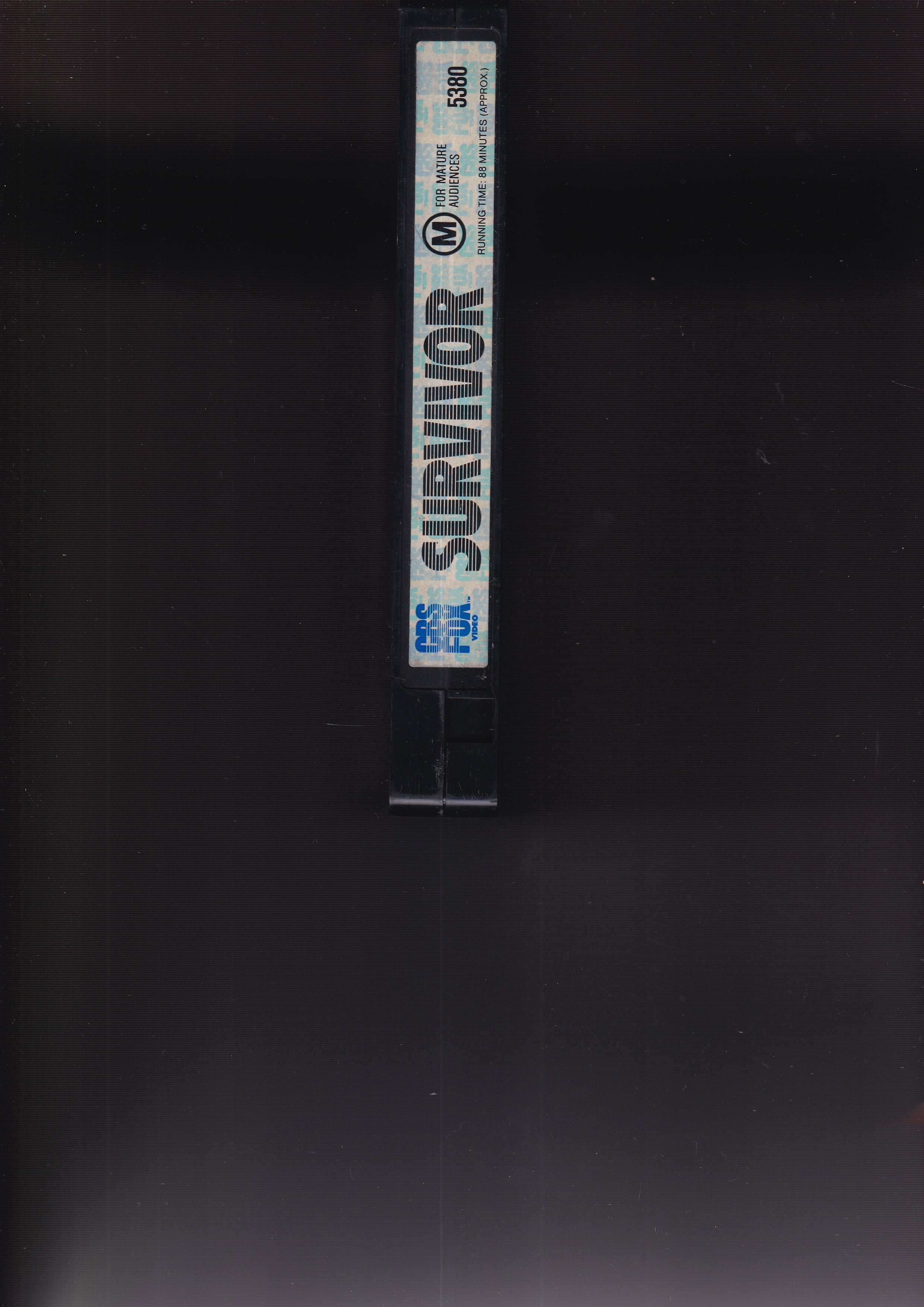 Survivor - Image 4