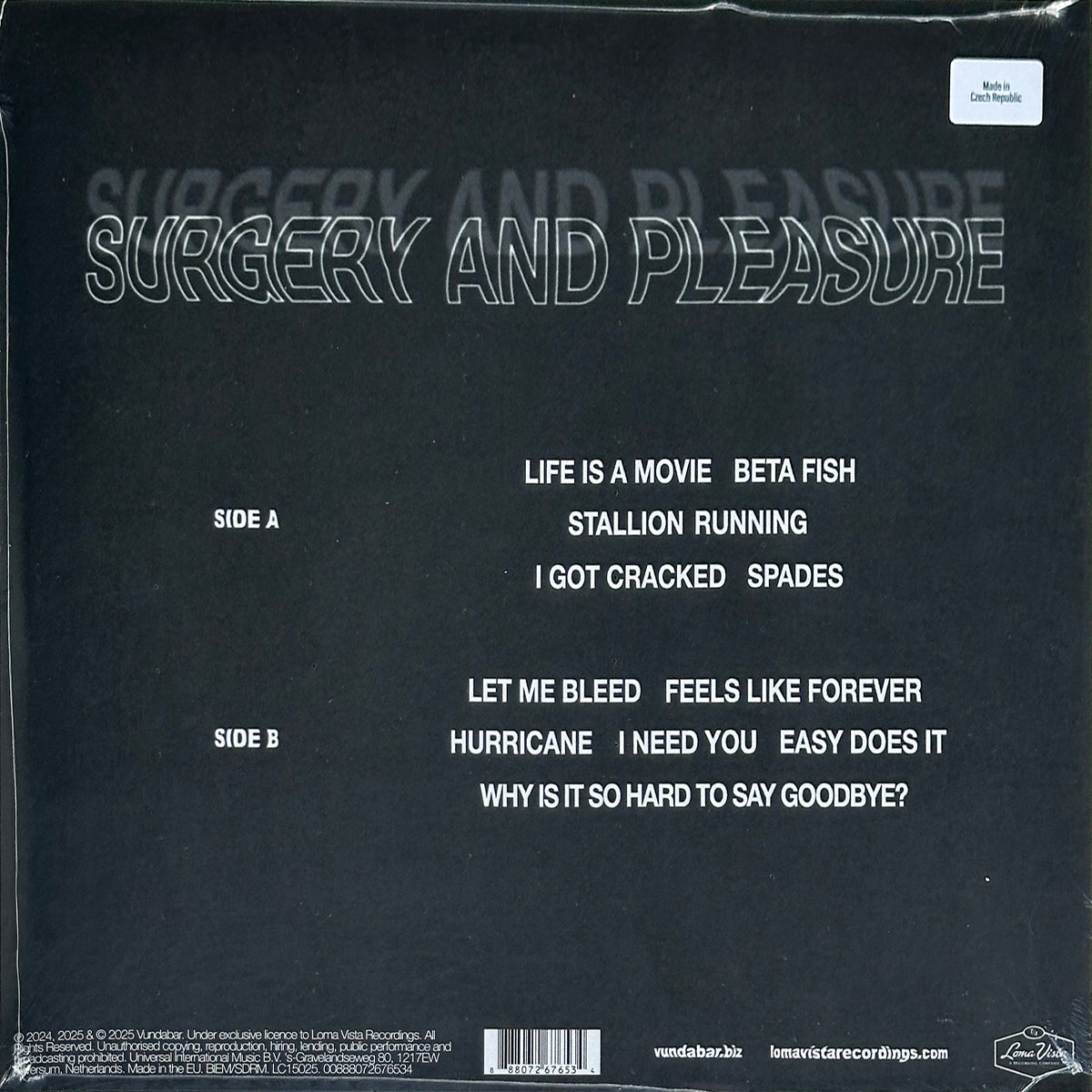 Surgery and Pleasure - Image 2
