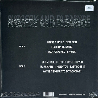 Surgery and Pleasure - Image 2