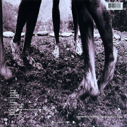 Vs. - Image 2