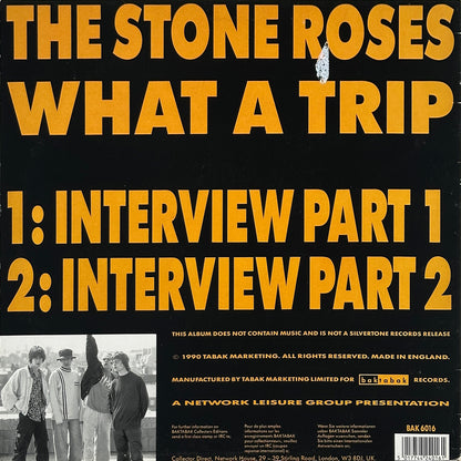 What A Trip - Image 2
