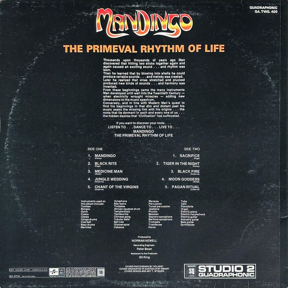 The Primeval Rhythm Of Life - Image 2