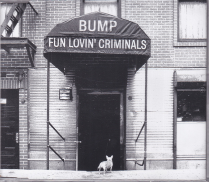 Bump - Image 1