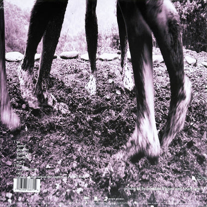 Vs. - Image 2