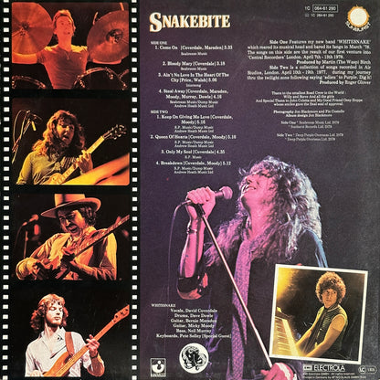 Snakebite - Image 2