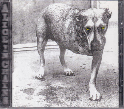Alice In Chains - Image 1