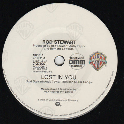 Lost In You