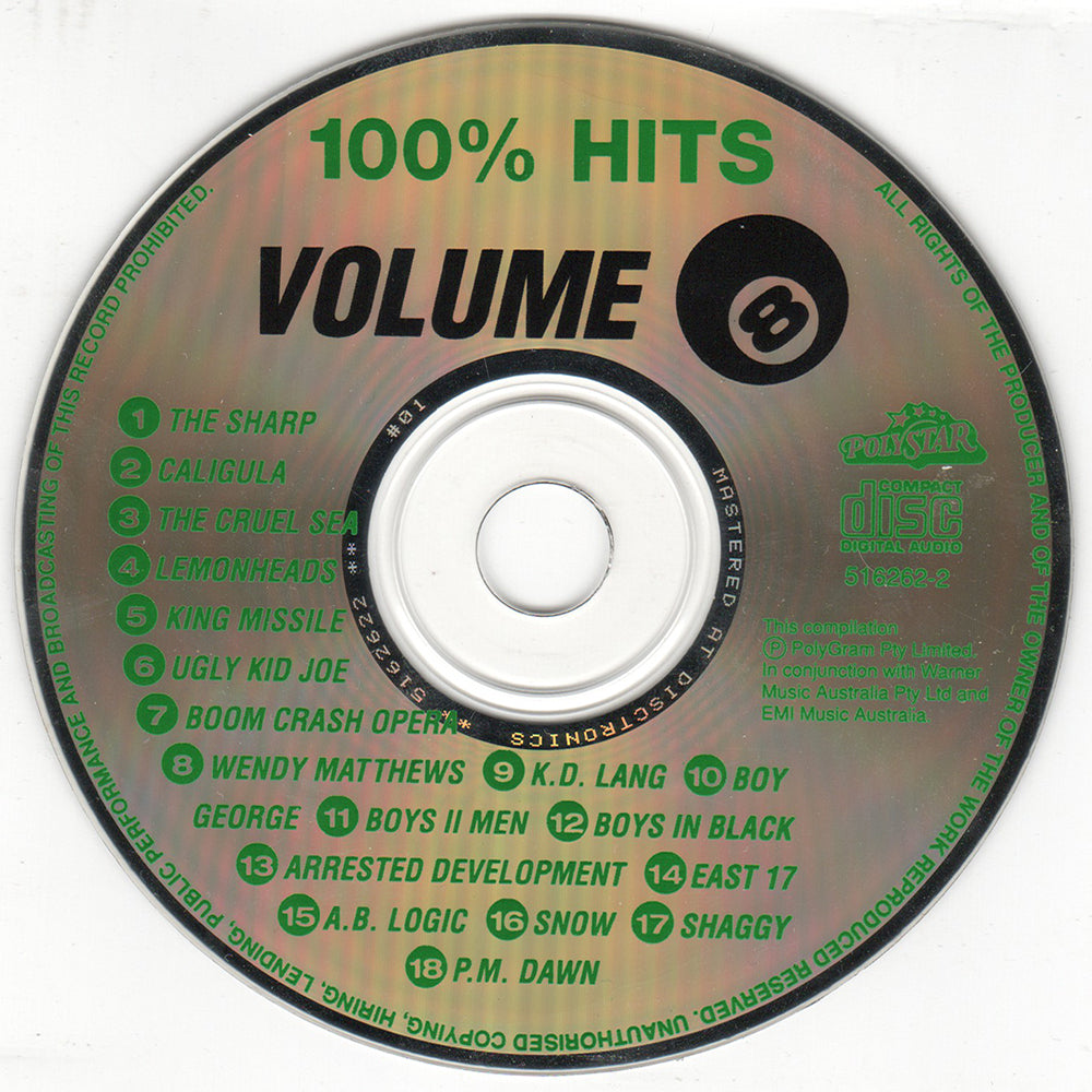 100% Hits Volume 8