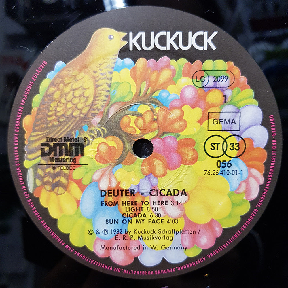 Cicada