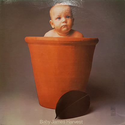 Baby James Harvest