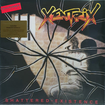 Shattered Existence