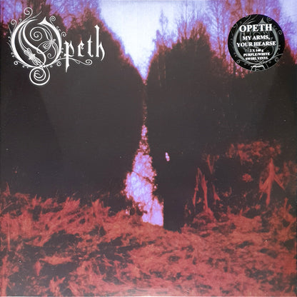 My Arms, Your Hearse