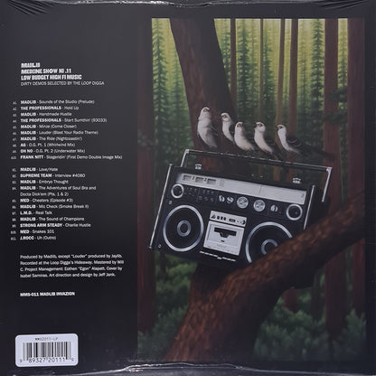 Low Budget High Fi Music