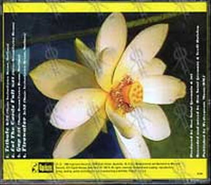 311 - Enlarged To Show Detail - Home Video Bonus EP - 2