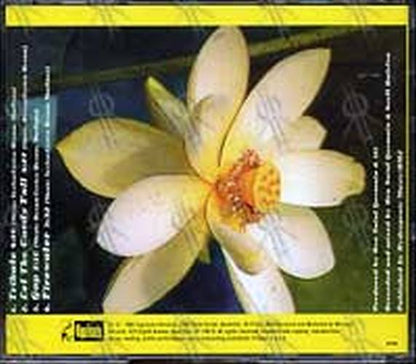 311 - Enlarged To Show Detail - Home Video Bonus EP - 2