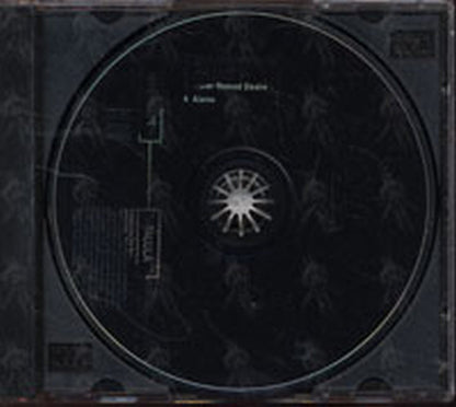 AMOS-- TORI - Talula - 3
